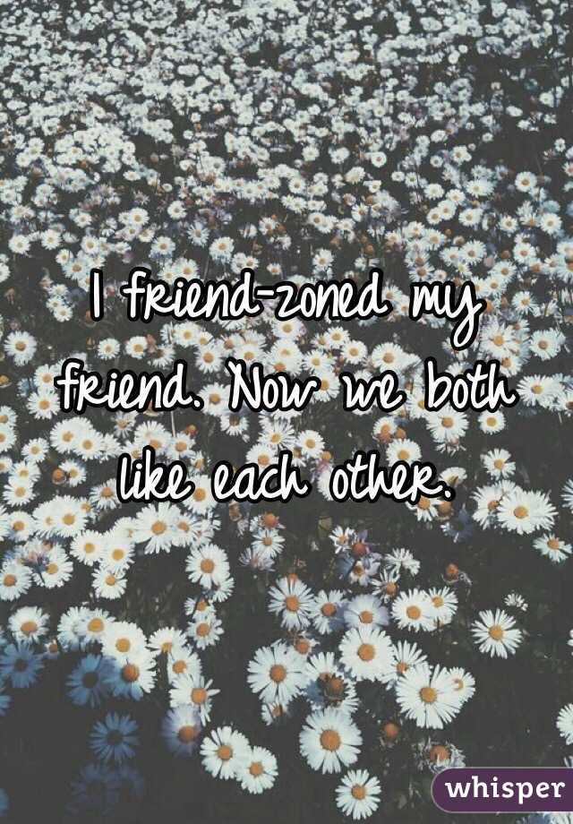 I friend-zoned my friend. Now we both like each other. 