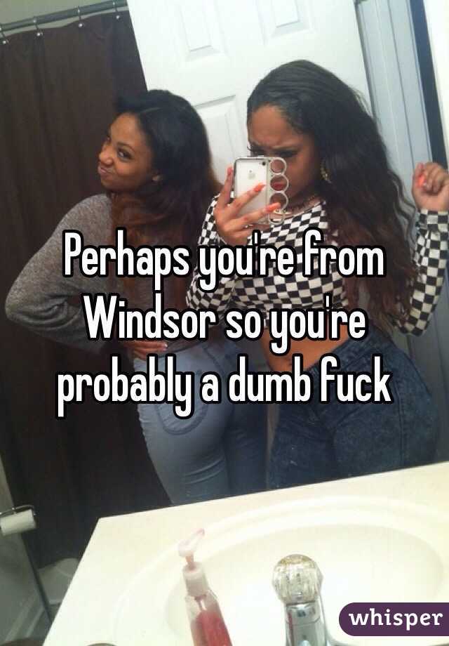 Perhaps you're from Windsor so you're probably a dumb fuck