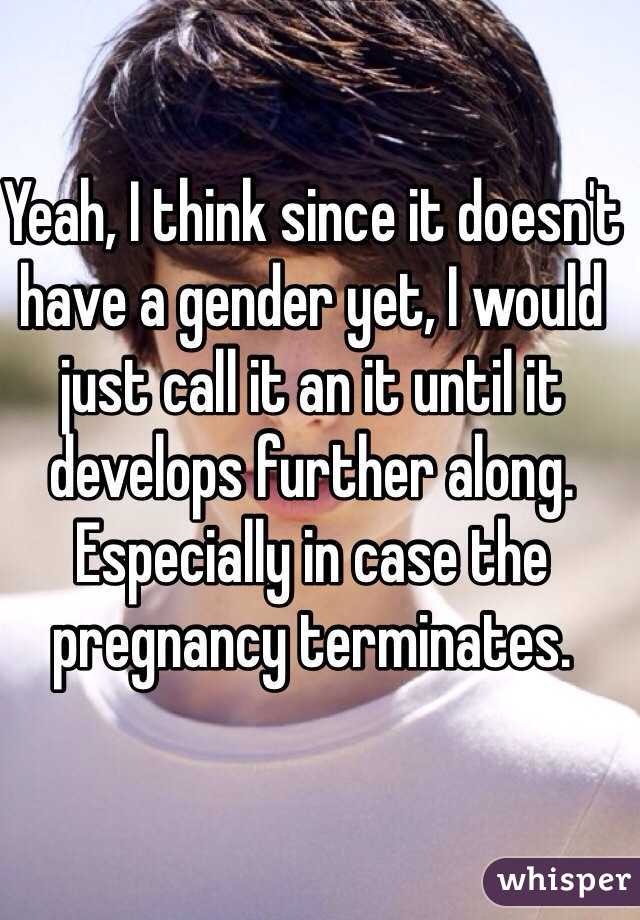 Yeah, I think since it doesn't have a gender yet, I would just call it an it until it develops further along. Especially in case the pregnancy terminates.