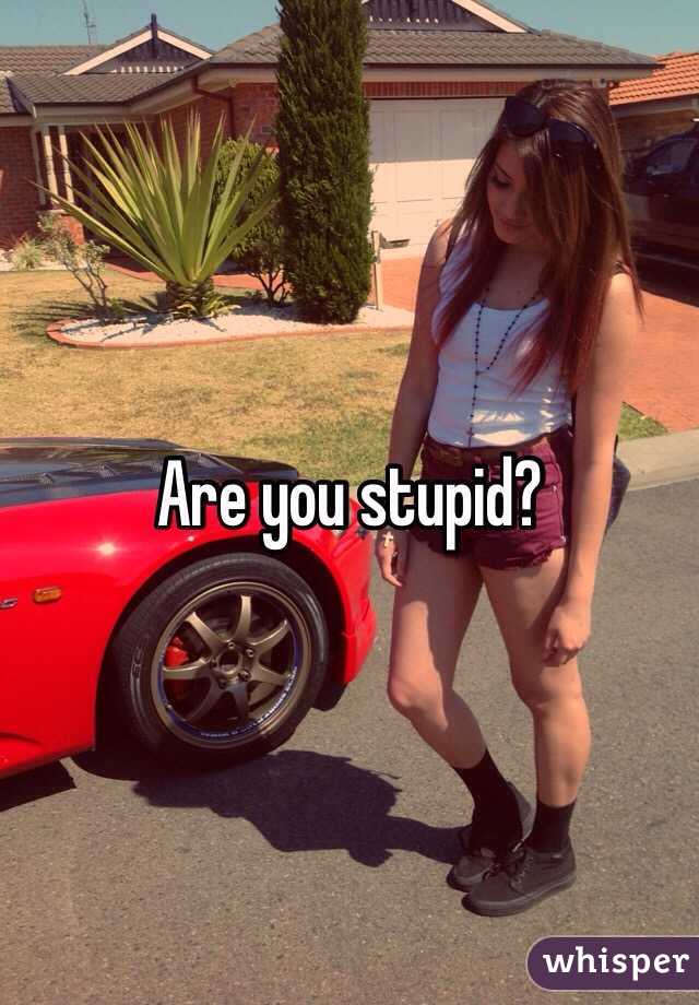 Are you stupid?