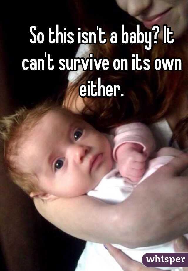 So this isn't a baby? It can't survive on its own either.