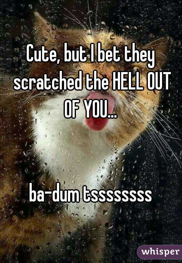 Cute, but I bet they scratched the HELL OUT OF YOU... 


ba-dum tssssssss