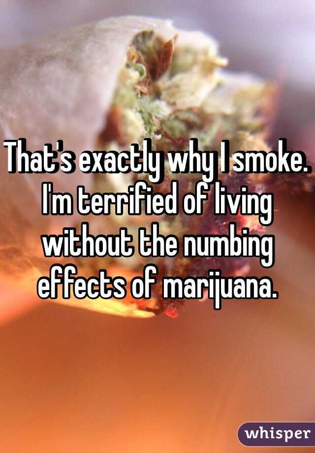 That's exactly why I smoke. I'm terrified of living without the numbing effects of marijuana. 