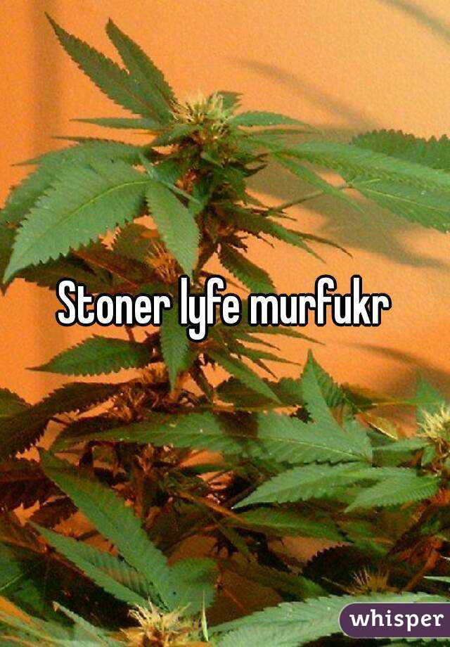 Stoner lyfe murfukr