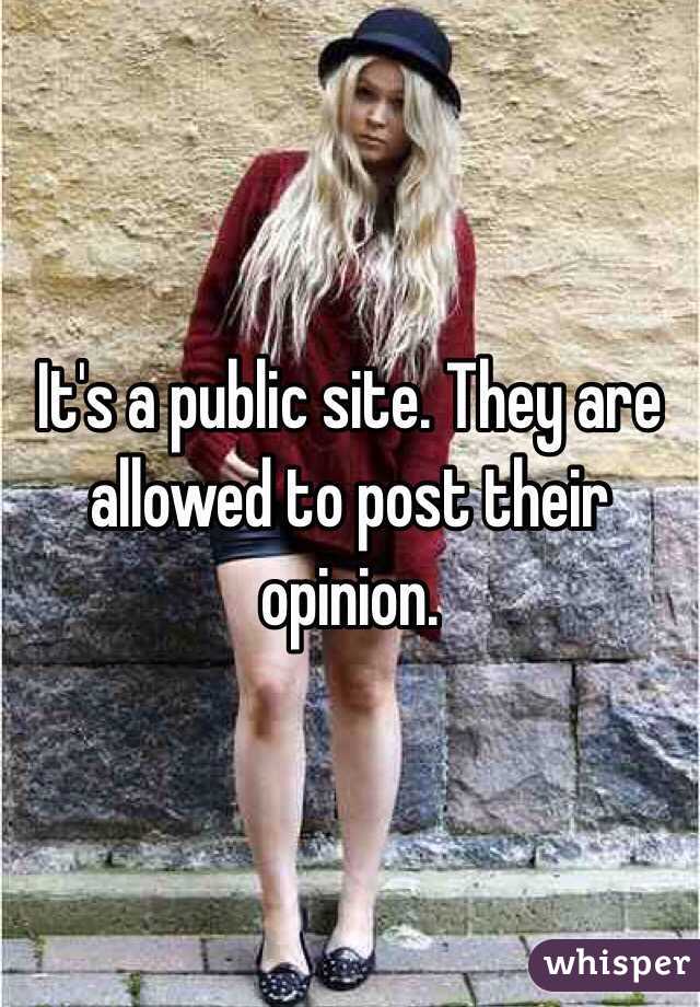 It's a public site. They are allowed to post their opinion. 