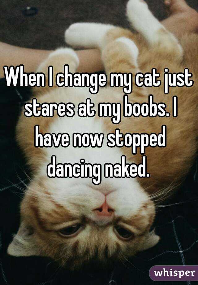 When I change my cat just stares at my boobs. I have now stopped dancing naked. 