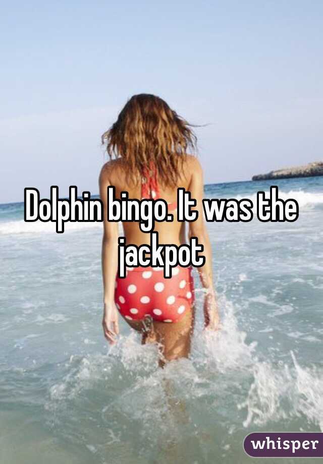 Dolphin bingo. It was the jackpot 