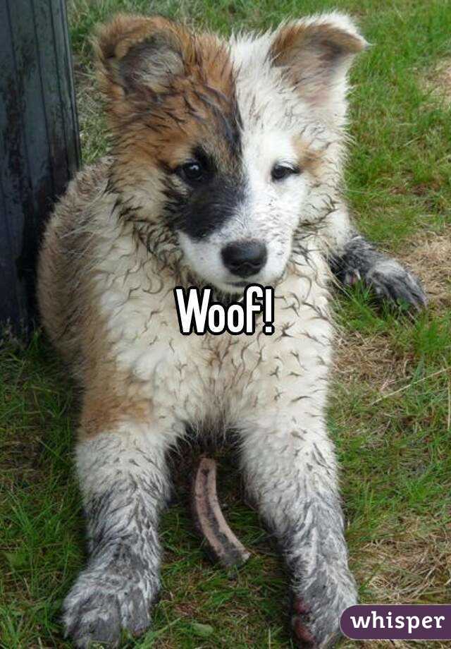 Woof!