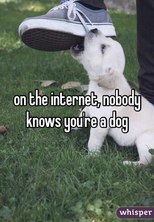 on the internet, nobody knows you're a dog