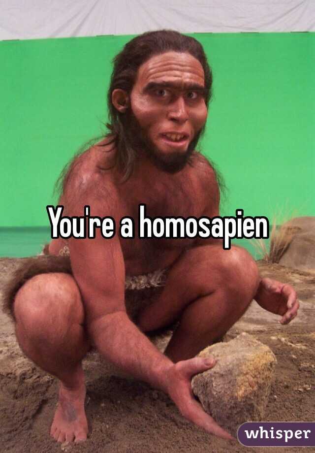 You're a homosapien 