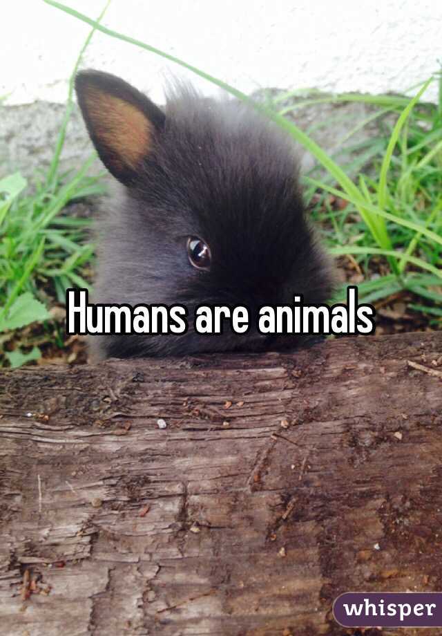 Humans are animals