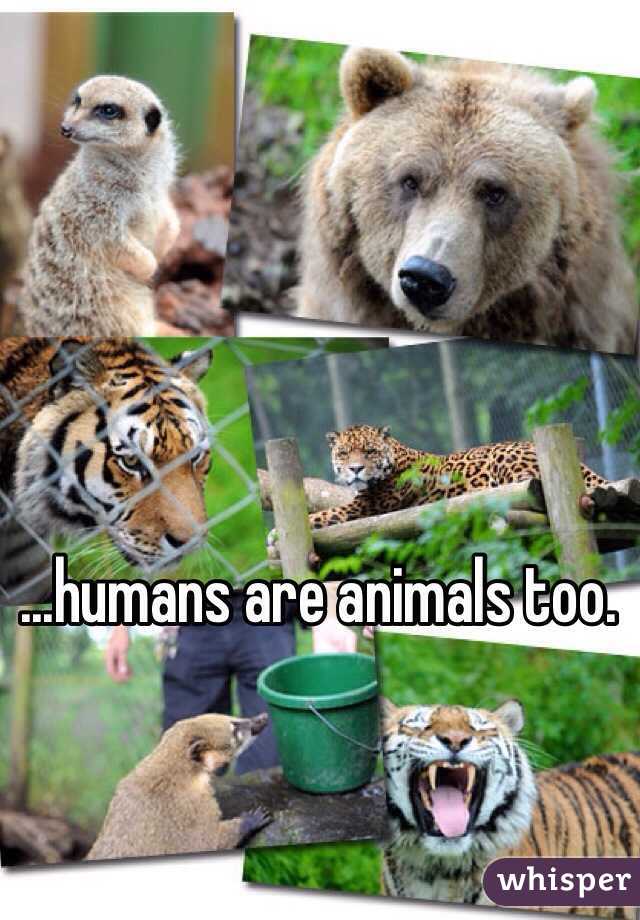 ...humans are animals too.