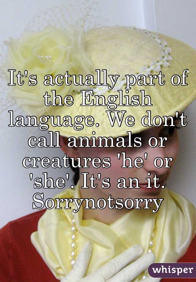 It's actually part of the English language. We don't call animals or creatures 'he' or 'she'. It's an it. Sorrynotsorry