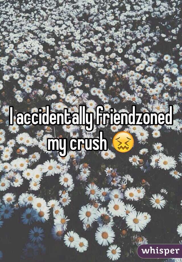 I accidentally friendzoned my crush 😖