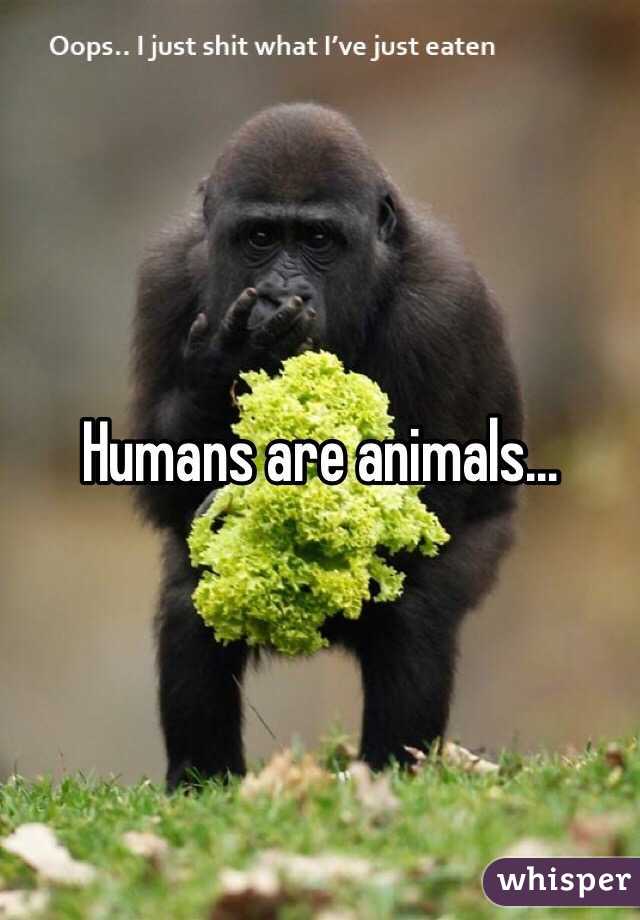 Humans are animals...