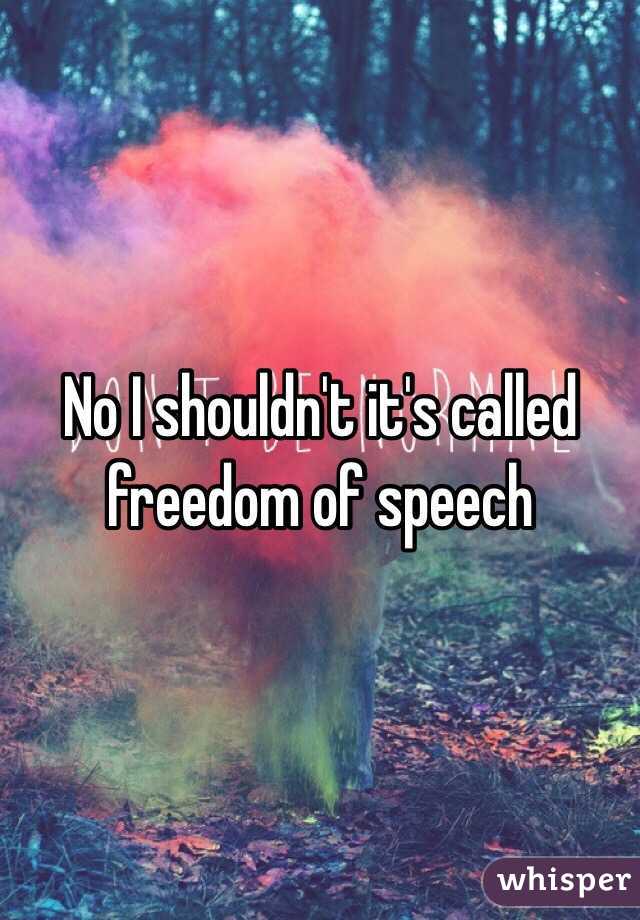 No I shouldn't it's called freedom of speech