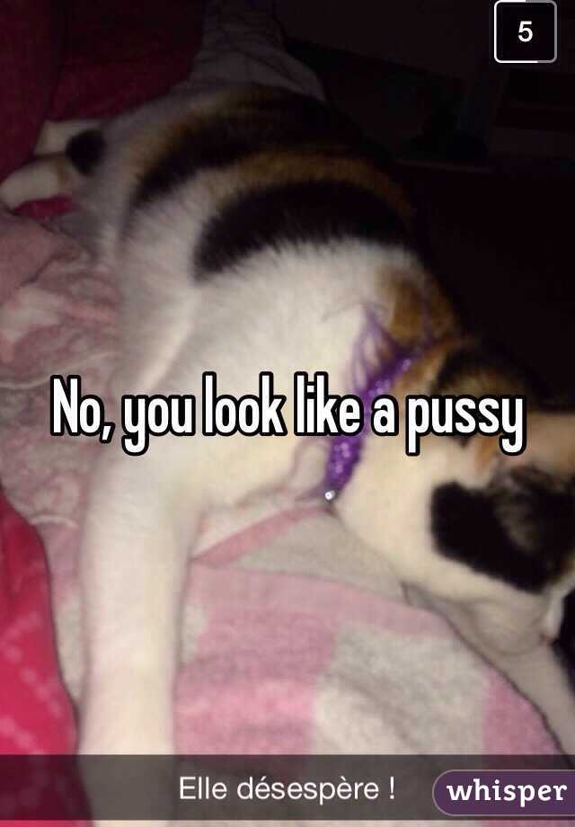 No, you look like a pussy