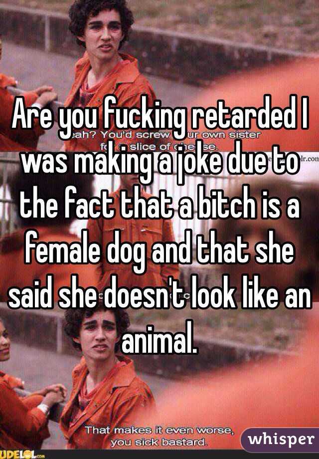 Are you fucking retarded I was making a joke due to the fact that a bitch is a female dog and that she said she doesn't look like an animal.