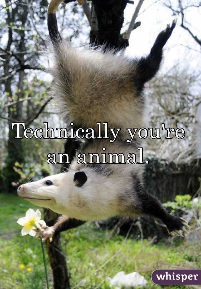 Technically you're an animal. 