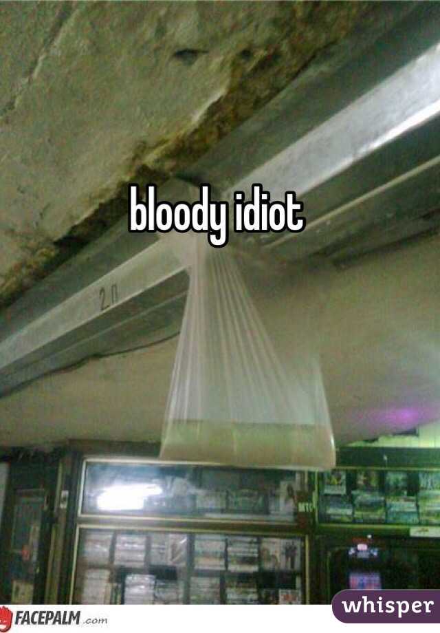  bloody idiot 