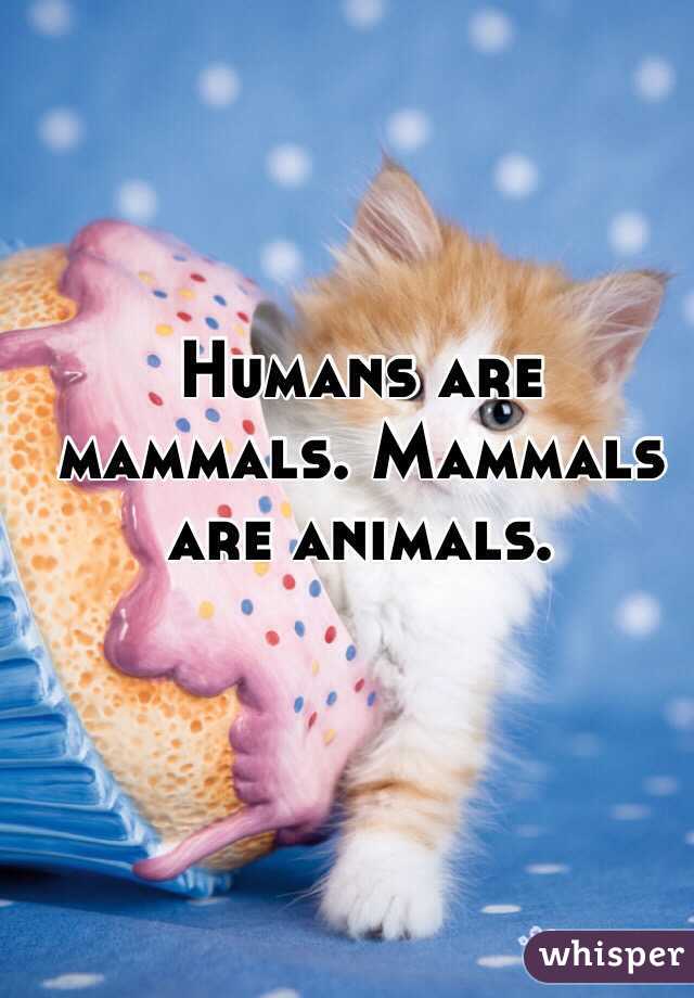 Humans are mammals. Mammals are animals. 