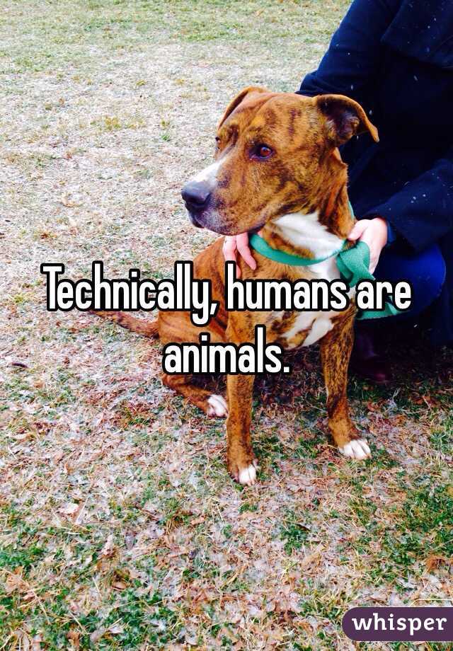 Technically, humans are animals.