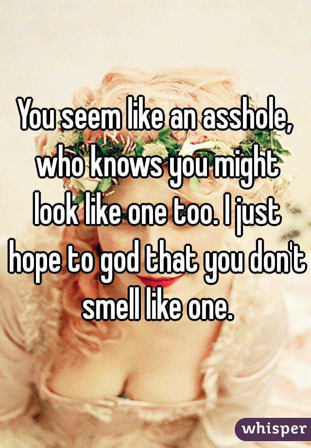 You seem like an asshole, who knows you might look like one too. I just hope to god that you don't smell like one.