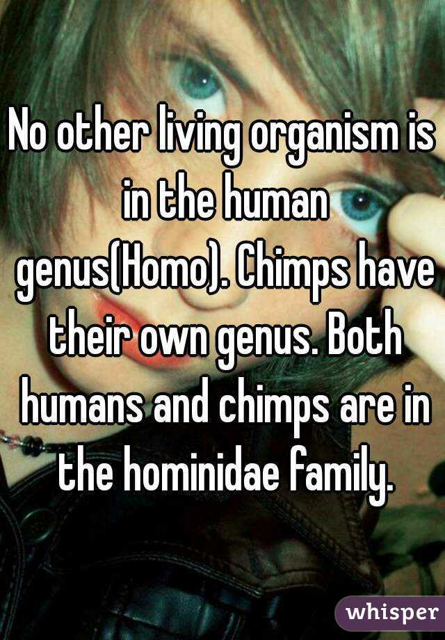 No other living organism is in the human genus(Homo). Chimps have their own genus. Both humans and chimps are in the hominidae family.