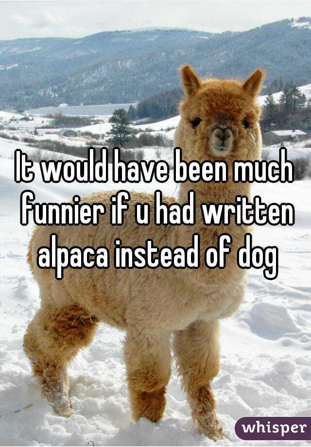 It would have been much funnier if u had written alpaca instead of dog