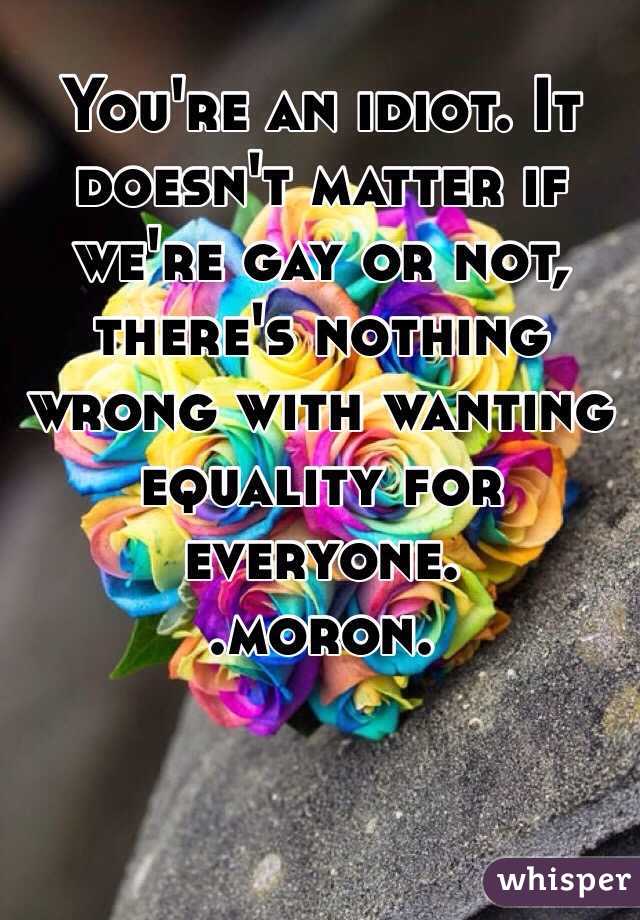 You're an idiot. It doesn't matter if we're gay or not, there's nothing wrong with wanting equality for everyone.
.moron.