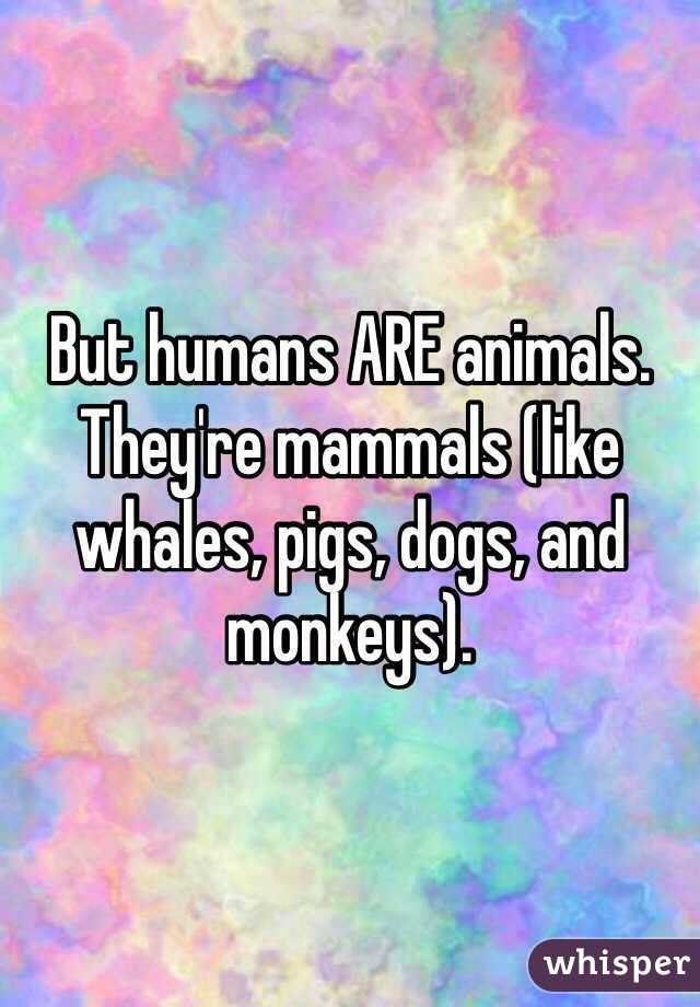 But humans ARE animals. 
They're mammals (like whales, pigs, dogs, and monkeys).