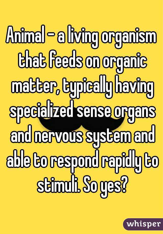 Animal - a living organism that feeds on organic matter, typically having specialized sense organs and nervous system and able to respond rapidly to stimuli. So yes?