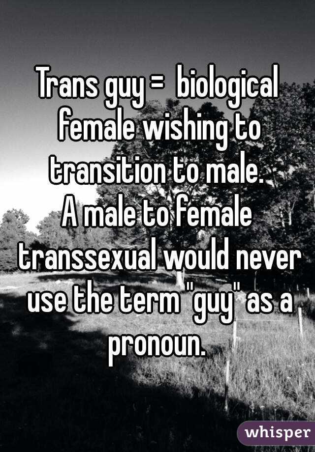 Trans guy =  biological female wishing to transition to male. 
A male to female transsexual would never use the term "guy" as a pronoun. 