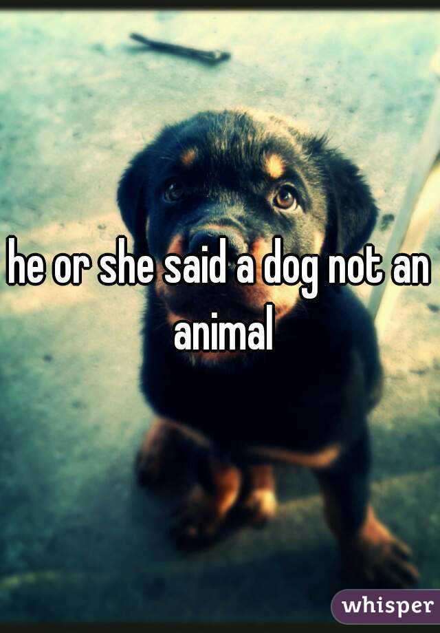 he or she said a dog not an animal