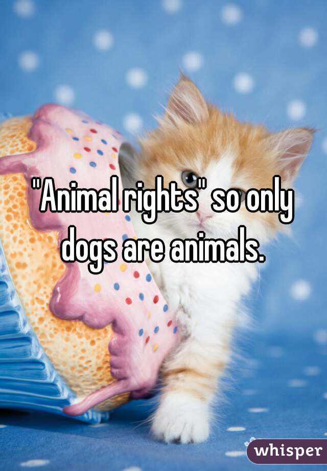 "Animal rights" so only dogs are animals. 