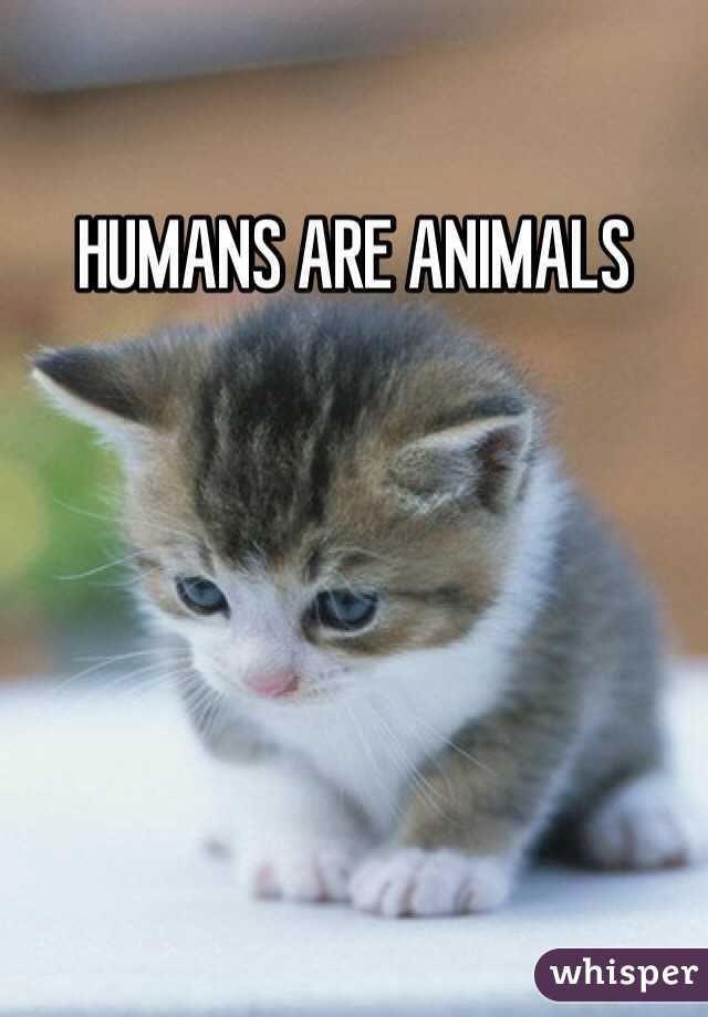 HUMANS ARE ANIMALS