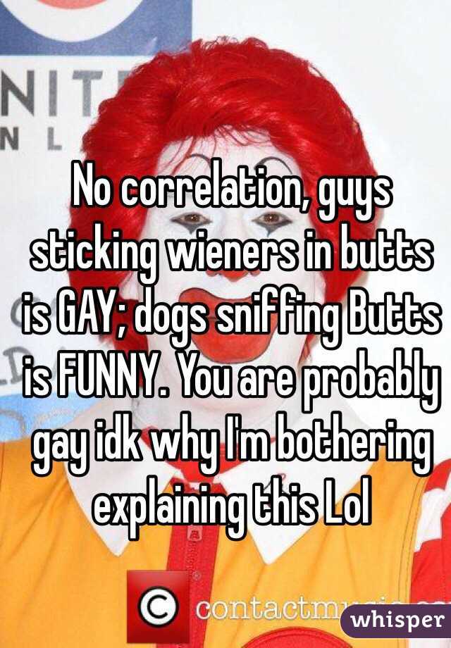 No correlation, guys sticking wieners in butts is GAY; dogs sniffing Butts is FUNNY. You are probably gay idk why I'm bothering explaining this Lol