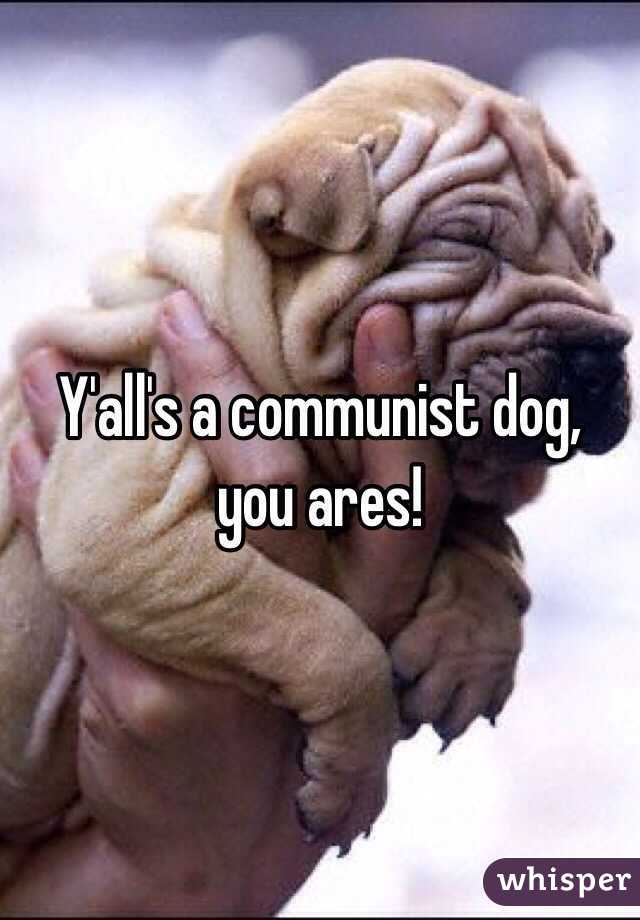 Y'all's a communist dog, you ares!