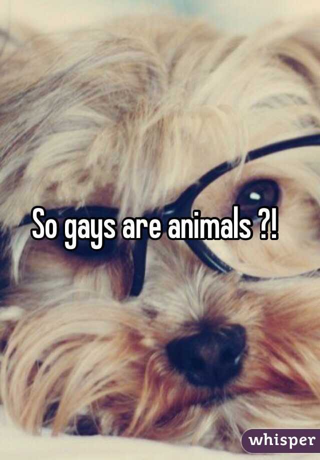 So gays are animals ?!