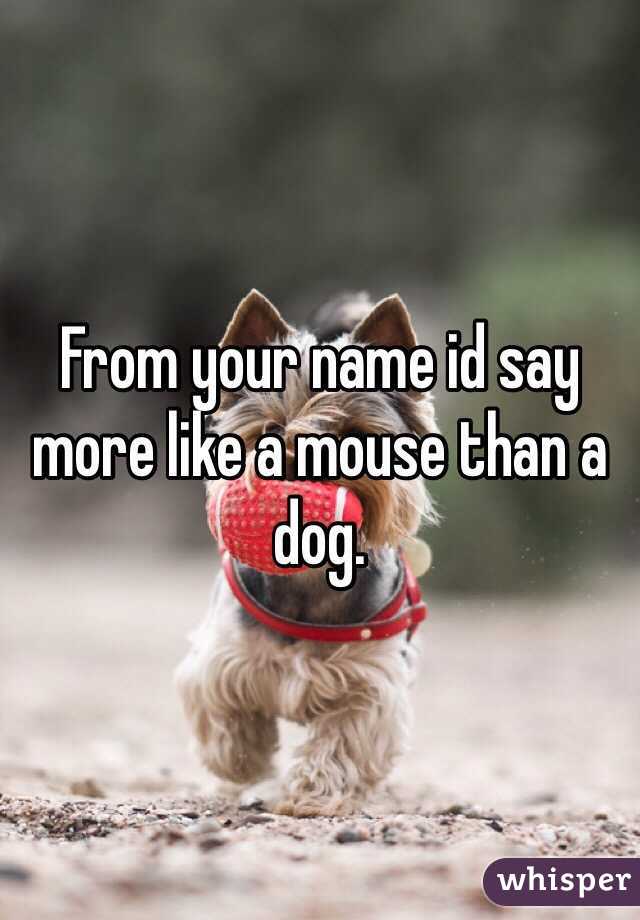 From your name id say more like a mouse than a dog. 