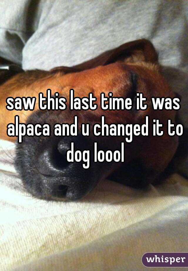 saw this last time it was alpaca and u changed it to dog loool