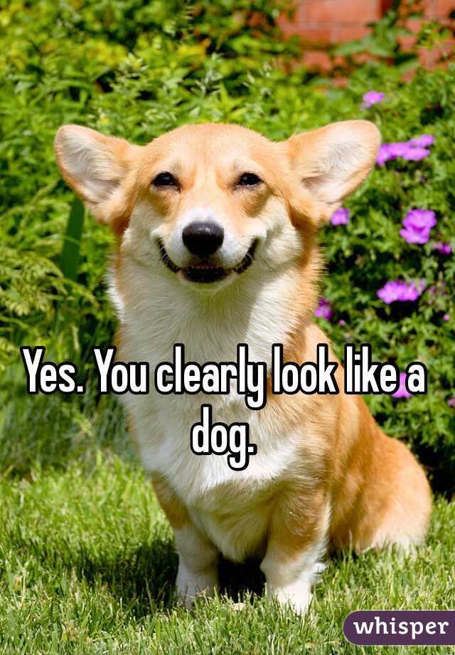 Yes. You clearly look like a dog.