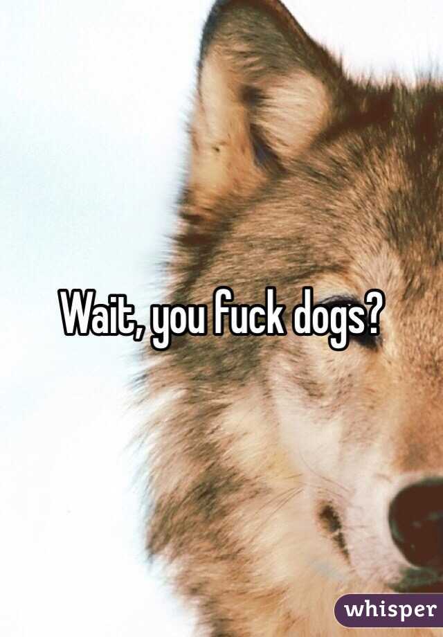 Wait, you fuck dogs?