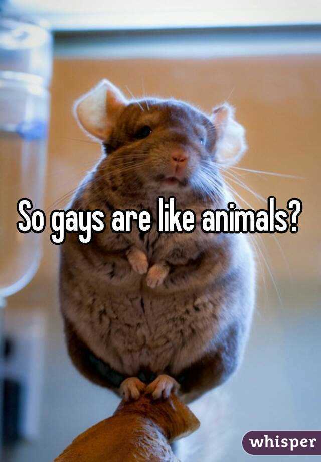 So gays are like animals?