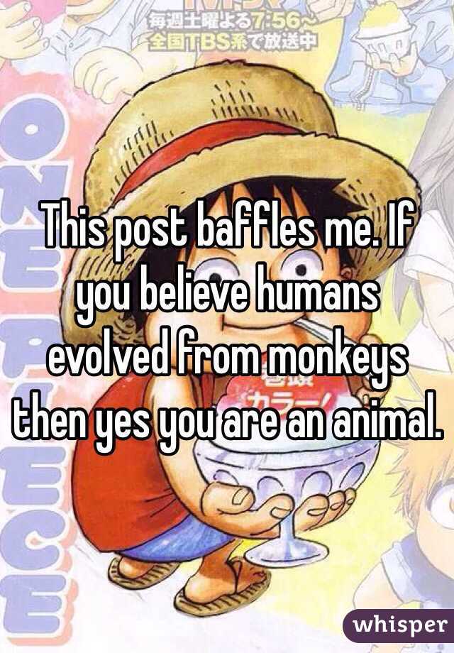 This post baffles me. If you believe humans evolved from monkeys then yes you are an animal. 