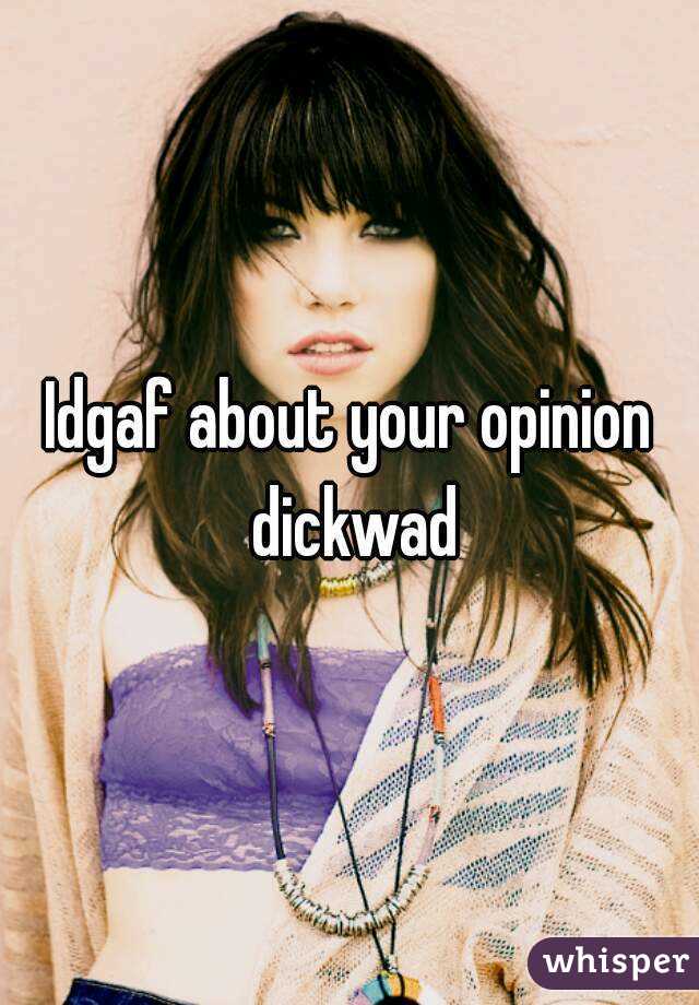 Idgaf about your opinion dickwad