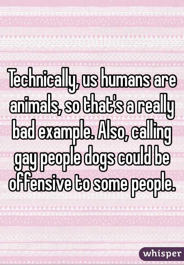 Technically, us humans are animals, so that's a really bad example. Also, calling gay people dogs could be offensive to some people. 