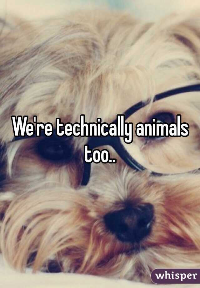 We're technically animals too.. 