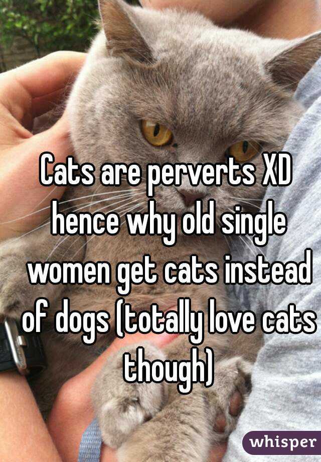 Cats are perverts XD hence why old single women get cats instead of dogs (totally love cats though)