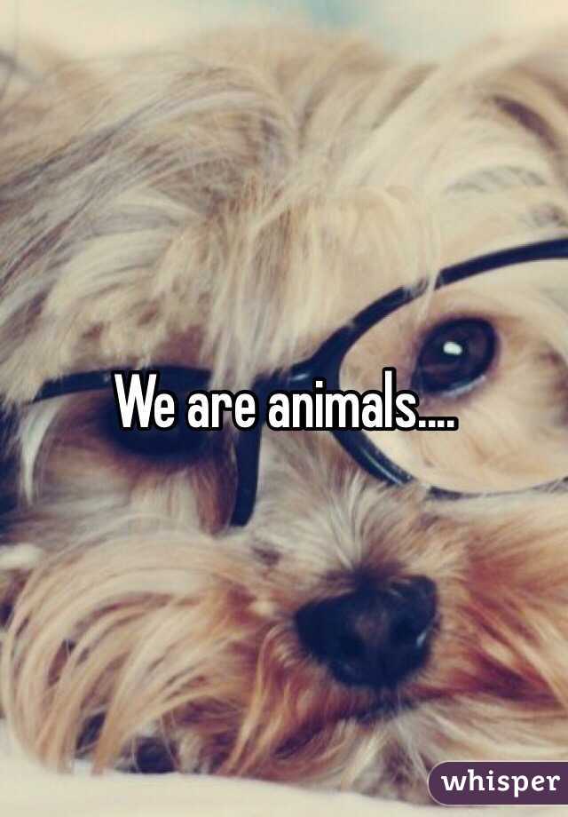 We are animals....